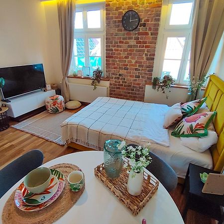 Apartamenty Piekary 11 Przy Wisle By Rentoom Torun Exterior photo
